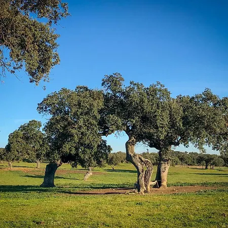 La Hermandad De Villalba *