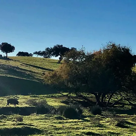 La Hermandad De Villalba 别墅 Villalba de los Barros