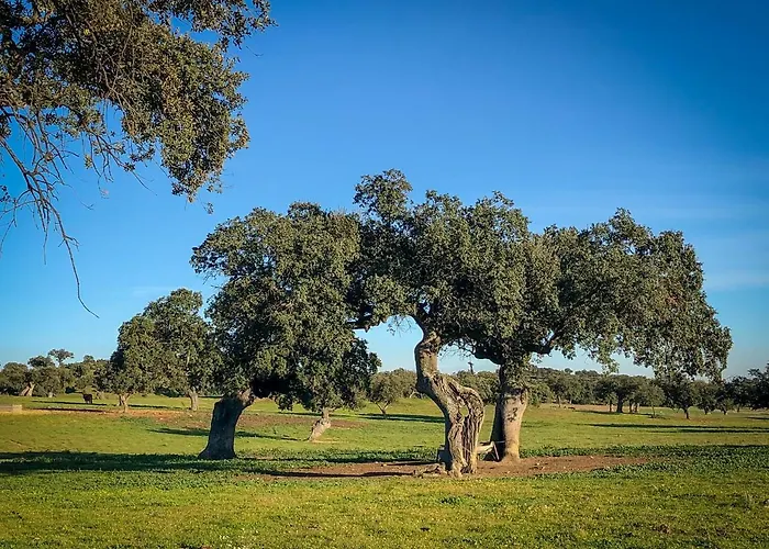 La Hermandad De Villalba *