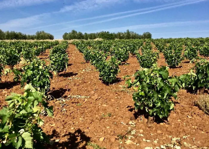 别墅 La Hermandad De Villalba *