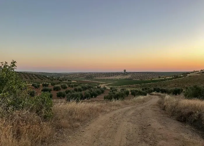La Hermandad De Villalba Villalba de los Barros