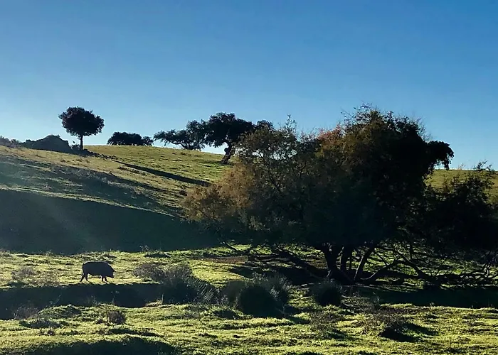 La Hermandad De Villalba Villa Villalba de los Barros