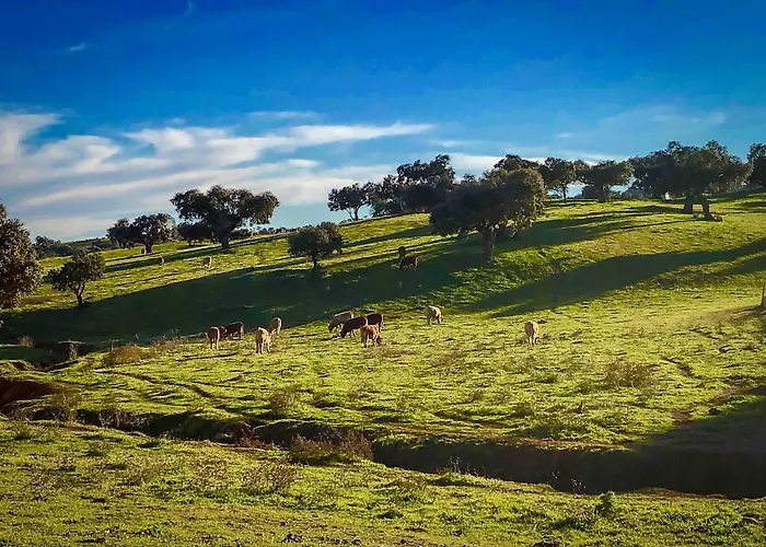 La Hermandad De Villalba Villalba de los Barros