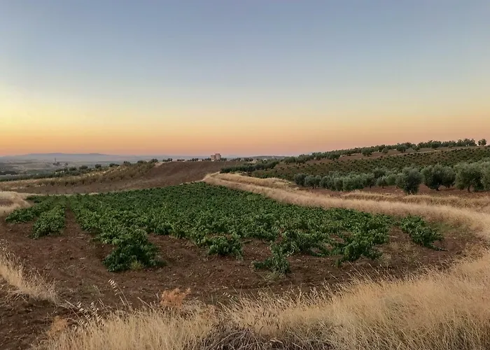 La Hermandad De Villalba 别墅