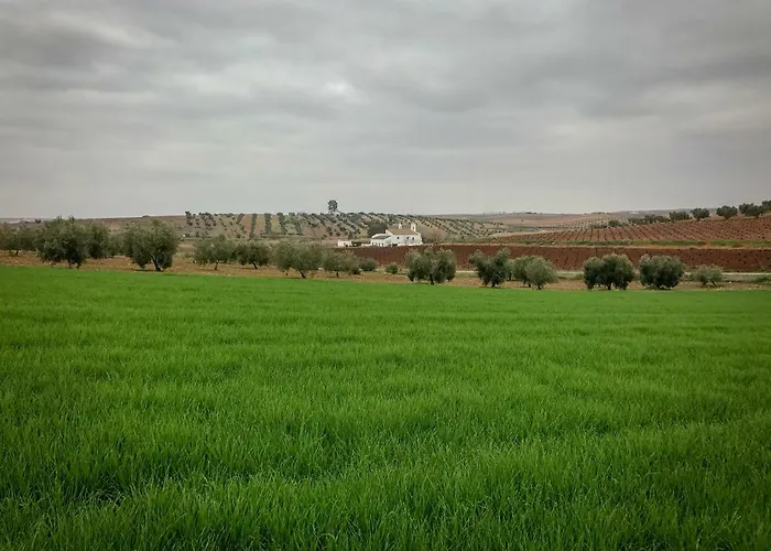 La Hermandad De Villalba Villalba de los Barros